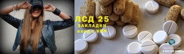 PSILOCYBIN Заволжск