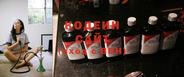шишки Заволжье