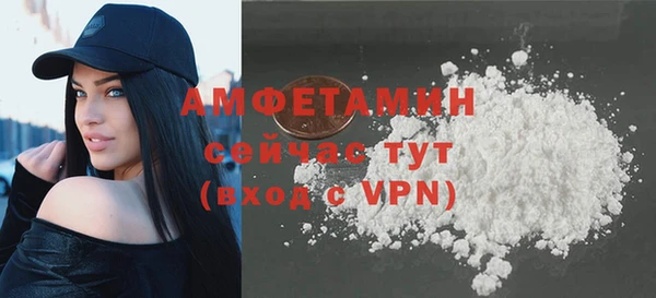 шишки Заволжье