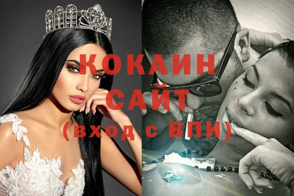 шишки Заволжье