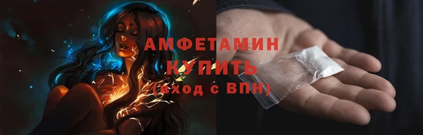 шишки Заволжье