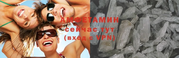 шишки Заволжье