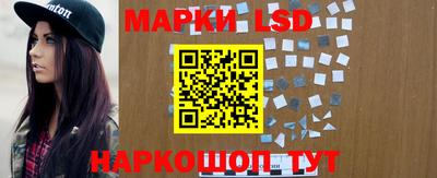 прущие грибы Краснодар