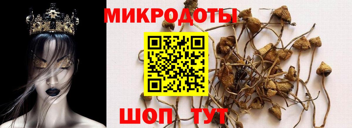 Псилоцибиновые грибы MAGIC MUSHROOMS  Псилоцибиновые грибы прущие грибы  Каменск-Шахтинский  Вход с VPN 
